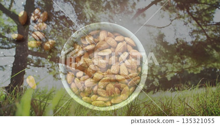 Blending white ceramic bowl of whole almonds into grassy forest clearing, double exposure effect Blending white ceramic bowl of whole almonds into grassy forest clearing, double exposure effect 135321055