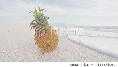 Resting ripe pineapple sitting on pale sand at beach, with gentle ocean waves lapping sea foam Resting ripe pineapple sitting on pale sand at beach, with gentle ocean waves lapping sea foam 135321069