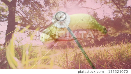 Floating surreal banana and stethoscope blending above grassy meadow capturing dreamlike scene Floating surreal banana and stethoscope blending above grassy meadow capturing dreamlike scene 135321070