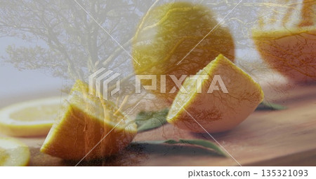 Showing whole lemons, halves, wedges on wooden board in studio with leaves under tree silhouette 135321093