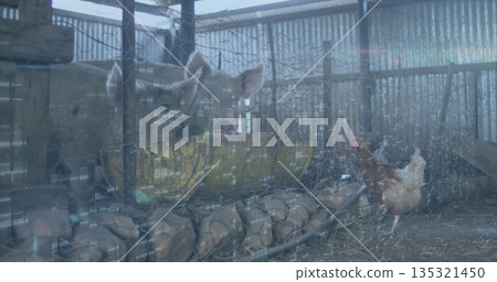 Eating white-pink pig behind wire mesh fence in barn interior, with yellow metal feeding trough Eating white-pink pig behind wire mesh fence in barn interior, with yellow metal feeding trough 135321450
