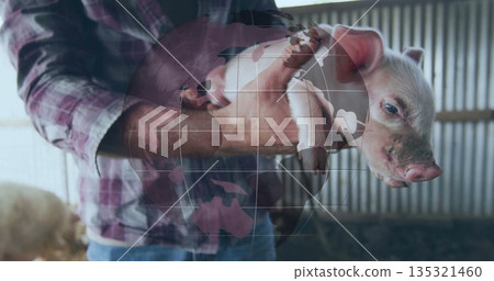 Holding farmer wearing plaid shirt and jeans hugging piglet in straw covered barn, with second pig 135321460