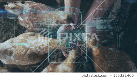 Worker in jeans and shirt grasping brown chickens in poultry pen, with digital padlock overlay 135321466