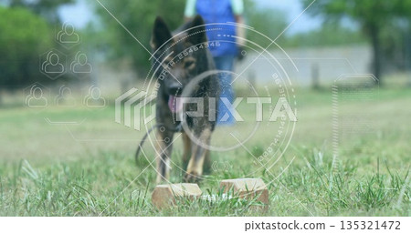 Standing German Shepherd obeying commands on training field, with wooden block and digital overlay 135321472