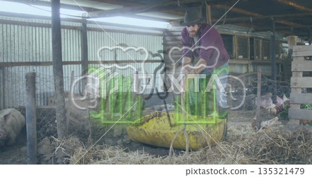 Shoveling straw farmer wearing hat filling yellow plastic trough inside barn pig pen, with pigs 135321479