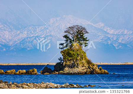 從富山縣雨晴海岸眺望立山山脈 135321766
