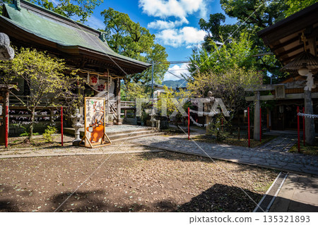松森天滿宮(長崎市)的景色 松森天滿宮(長崎市)的景色 135321893