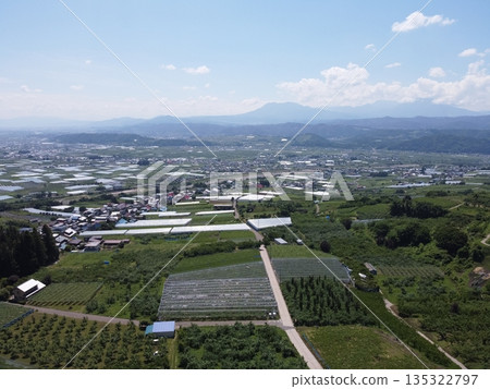 長野縣中野市的農地和夏日藍天。雄偉的山脈和果園（無人機空拍） 135322797