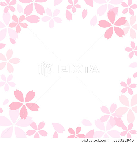 Simple cherry blossom petal frame_square Simple cherry blossom petal frame_square 135322949