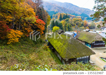 【福島縣南會津】深秋時節,驛站小鎮大內宿仍保留著茅草屋頂。十一月 【福島縣南會津】深秋時節,驛站小鎮大內宿仍保留著茅草屋頂。十一月 135322987