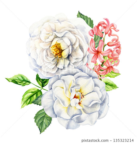White rose and pink hyacinth watercolor bouquet with green leaves elegant spring floral illustration isolated on white 135323214