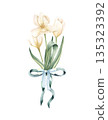 White tulip bouquet tied green bow. Flower with stem and leaf. Delicate botanical floral watercolor illustration isolated from background. For invitation, cosmetic packaging, women greeting card 135323392