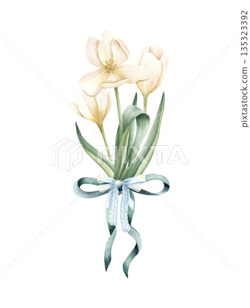 White tulip bouquet tied green bow. Flower with stem and leaf. Delicate botanical floral watercolor illustration isolated from background. For invitation, cosmetic packaging, women greeting card 135323392