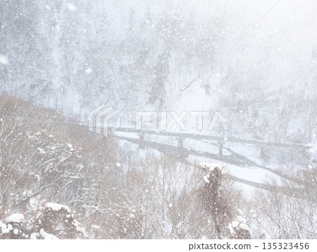 大雪籠罩著森林，能見度極低──寒潮來襲，呈現出嚴酷的冬日景象。 135323456