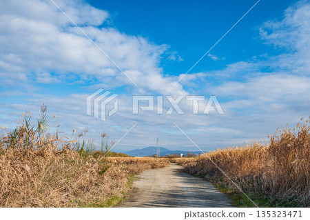 京都桂川的冬季景色,河畔步道 京都桂川的冬季景色,河畔步道 135323471