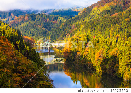 [Oku-Aizu, Fukushima Prefecture] Autumn deepens at the Second Tadami River Bridge. October - November 135323550