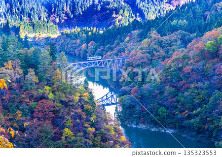 【福島縣奧會津】十月至十一月，秋色漸濃，第一隻見橋染上秋色。 135323553