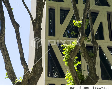 Close-up of a modern building facade with geometric windows framed by tree branches and fresh green Close-up of a modern building facade with geometric windows framed by tree branches and fresh green 135323600