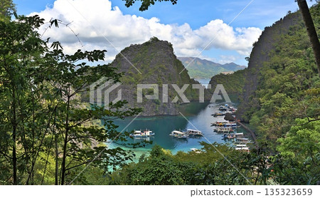 Coron Island Lagoon with tourist boats at the pier 135323659