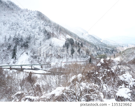 秋田新幹線小町號飛馳在白雪皚皚的景色中。 135323662