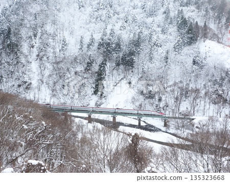 秋田新幹線小町號疾馳在白雪皚皚的山巒間。黑白世界。留白。 135323668