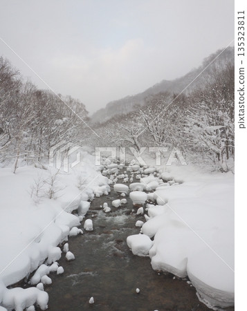 積雪覆蓋的地區,一條靜謐的河流——一片開闊的雪景冬日景象。 積雪覆蓋的地區,一條靜謐的河流——一片開闊的雪景冬日景象。 135323811