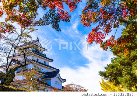 [Fukushima Prefecture, Aizuwakamatsu City] Tsuruga Castle in late autumn October November 135323885