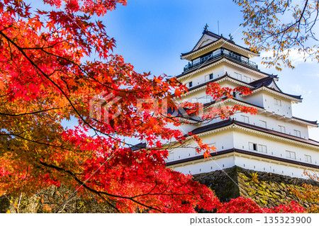 [Fukushima Prefecture, Aizuwakamatsu City] Tsuruga Castle in late autumn October November 135323900