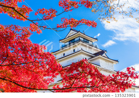 【福島縣會津若松市】深秋時節的敦賀城（十月至十一月） 135323901