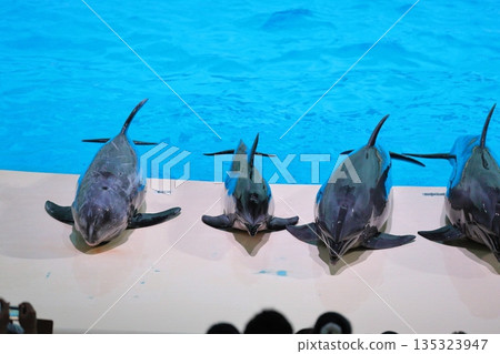 伊魯卡在舞台上 135323947