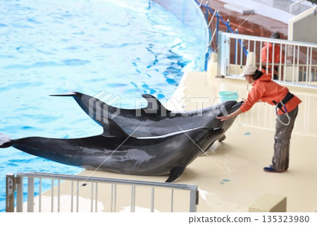 Iruka on stage 135323980