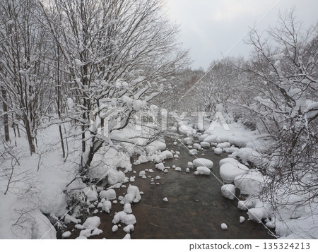 積雪覆蓋的地區,一條靜謐的河流——一片開闊的雪景冬日景象。 積雪覆蓋的地區,一條靜謐的河流——一片開闊的雪景冬日景象。 135324213