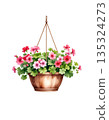 Pink geranium hanging basket watercolor 135324273