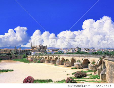 View of the old town of Cordoba and the Roman Bridge 135324673