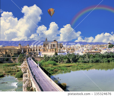 View of the old town of Cordoba and the Roman Bridge 135324676