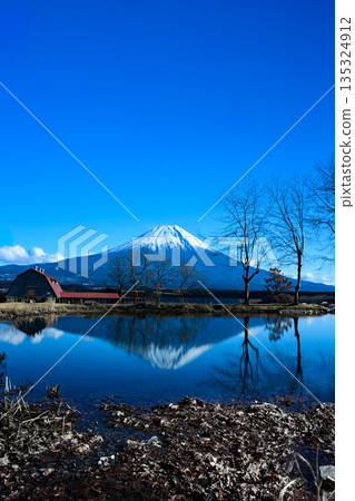A view of the upside-down red upside-down baby in winter from the foot of the mountain 135324912