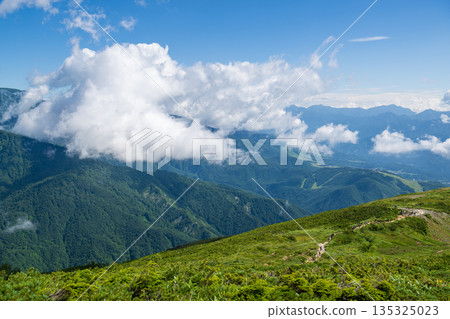 View of the Northern Alps in early summer from Happo-one 135325023