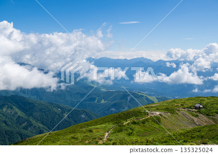 從八方尾眺望初夏的北阿爾卑斯山脈 135325024