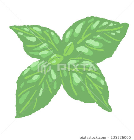 Hand-drawn color illustrations of basil (frames, wreaths, patterns, etc.) Hand-drawn color illustrations of basil (frames, wreaths, patterns, etc.) 135326000