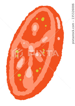 Hand-drawn color illustrations of basil (frames, wreaths, patterns, etc.) 135326006