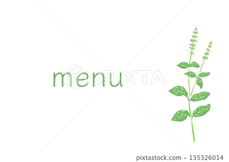 Hand-drawn color illustrations of basil (frames, wreaths, patterns, etc.) Hand-drawn color illustrations of basil (frames, wreaths, patterns, etc.) 135326014