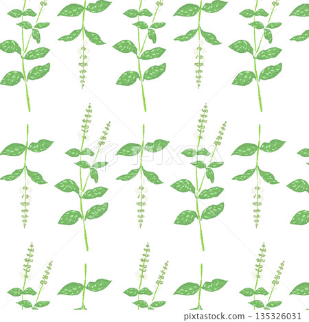Hand-drawn color illustrations of basil (frames, wreaths, patterns, etc.) 135326031