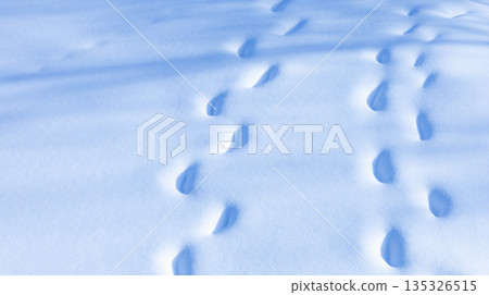 在陽光明媚的日子裡,皚皚白雪上並排排列幾個腳印。 在陽光明媚的日子裡,皚皚白雪上並排排列幾個腳印。 135326515