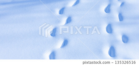 An image of footprints walking side by side on fresh snow on a sunny day An image of footprints walking side by side on fresh snow on a sunny day 135326516