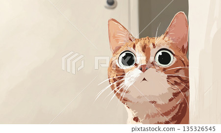 A cat staring at you in surprise A cat staring at you in surprise 135326545