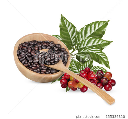 Coffee beans with leaves isolated on white background 135326810