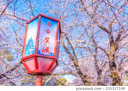 名古屋城櫻花祭和春季燈籠景觀 名古屋城櫻花祭和春季燈籠景觀 135327148