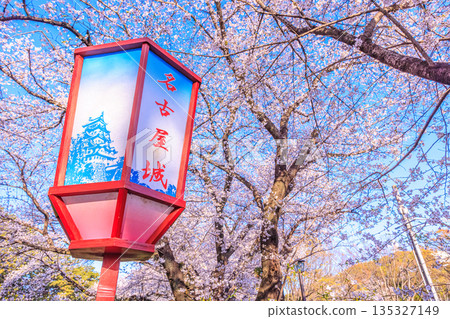 名古屋城櫻花祭和春季燈籠景觀 135327149