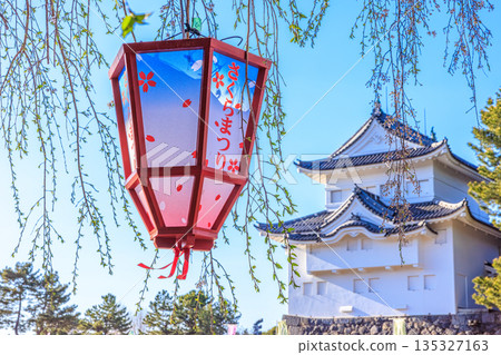 名古屋城櫻花祭和春季燈籠景觀 135327163