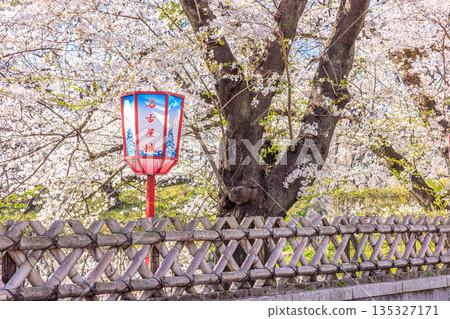 Nagoya Castle Cherry Blossom Festival and Spring Lantern Scenery 135327171